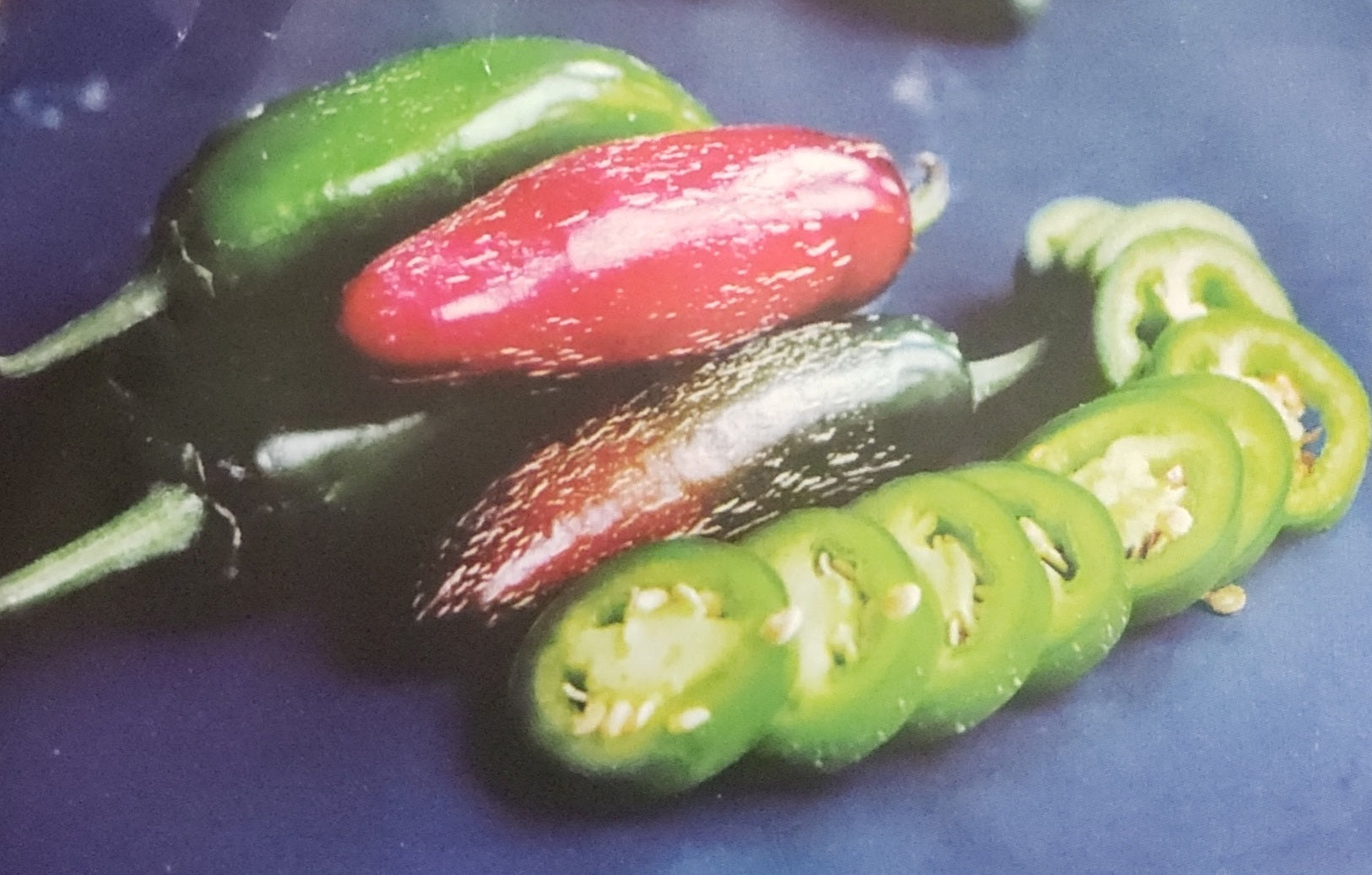 Pepper--Zapotec Jalapeno