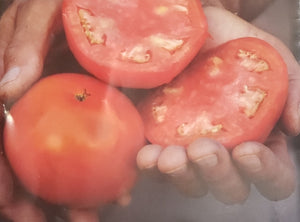Tomato--Wood's Famous Brimmer Tomato