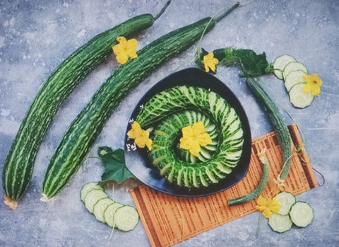 Cucumber--Suyo Long