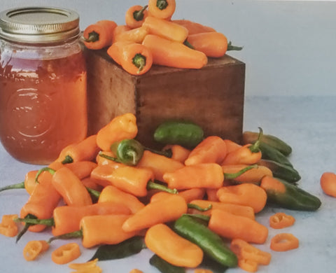 Pepper--Datil Hot