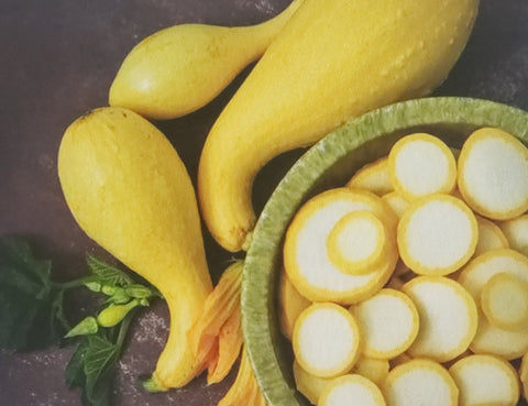 Summer Squash--Early Golden Crookneck