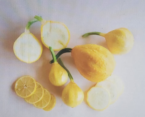 Summer Squash--Lemon