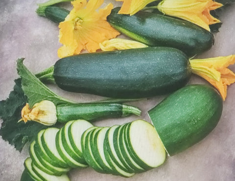 Summer Squash--Black Beauty