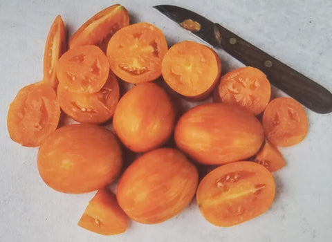 Tomato--Apricot Zebra