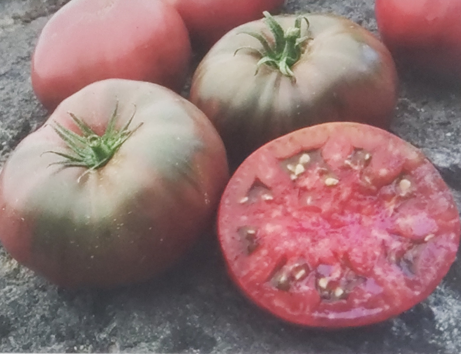 Tomato--Black Krim