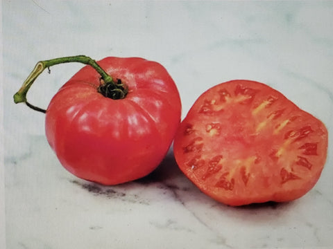Tomato--Missouri Pink Love Apple