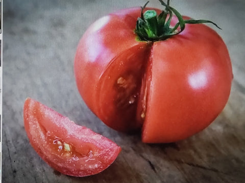Tomato--Ozark Pink