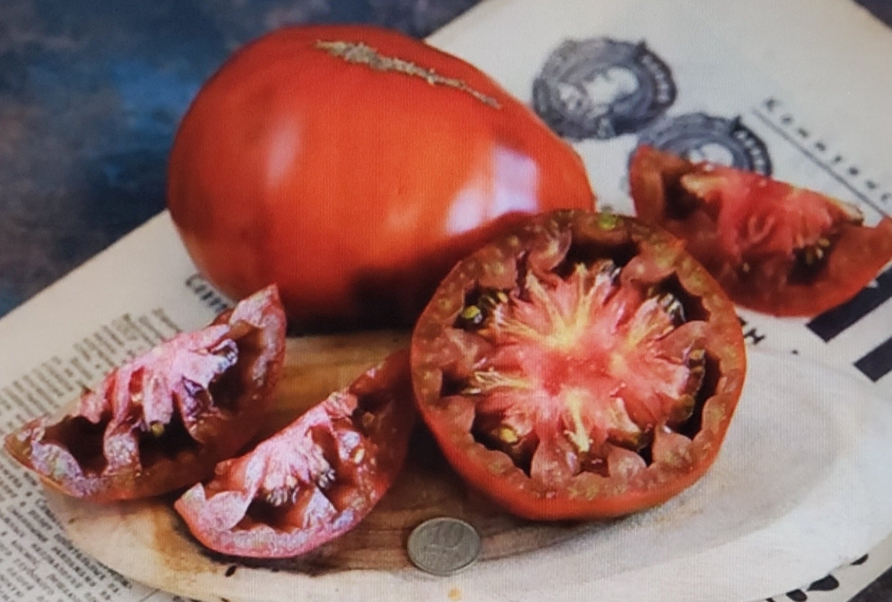 Tomato--Paul Robeson