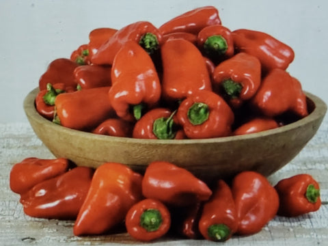Sweet Pepper--Lipstick