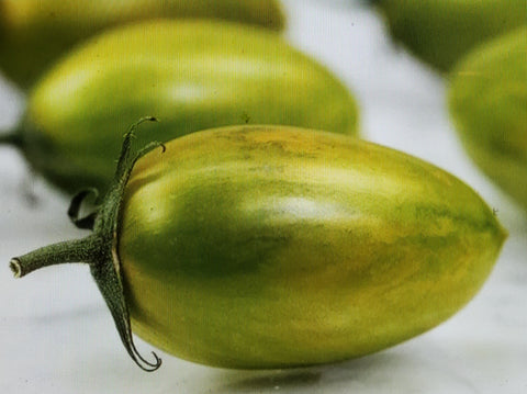 Tomato--Green Tiger