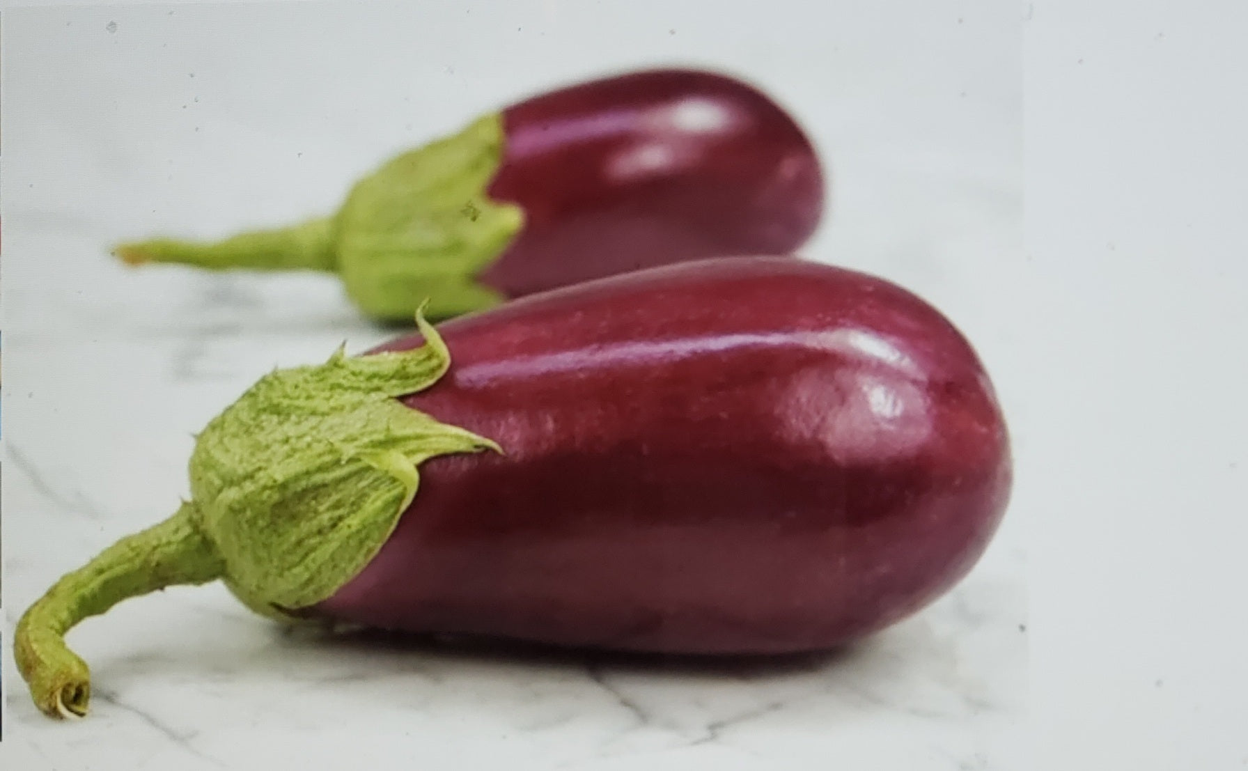Eggplant--Rosita